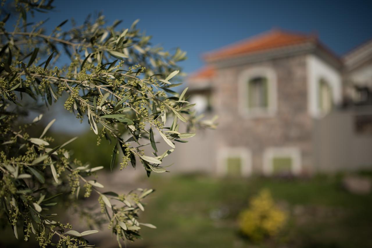 Moongarden Aparthotel Μήθυμνα Εξωτερικό φωτογραφία